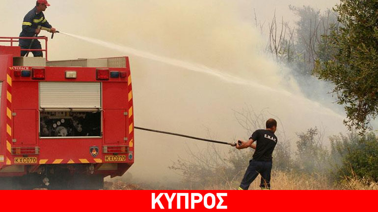 Κύπρος: Υπό έλεγχο πυρκαγιά που ξέσπασε στο δάσος Καρύες